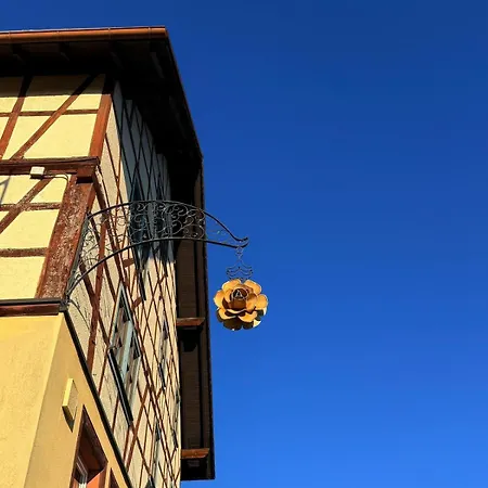 公寓 Boardinghouse Zur Rose